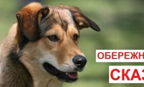 Обережно сказ