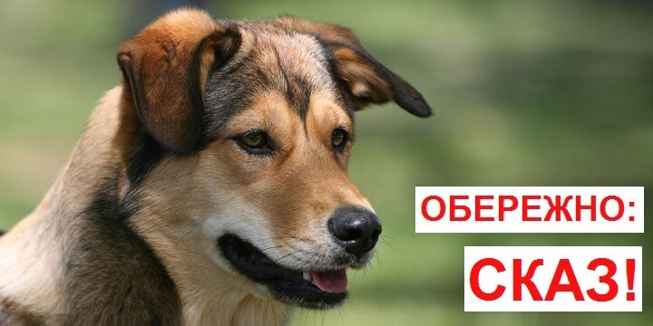 Обережно сказ
