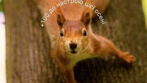 Дофамінові активності