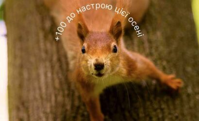 Дофамінові активності