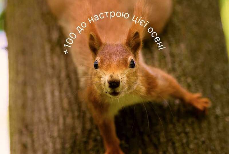 Дофамінові активності Дофамінові активності